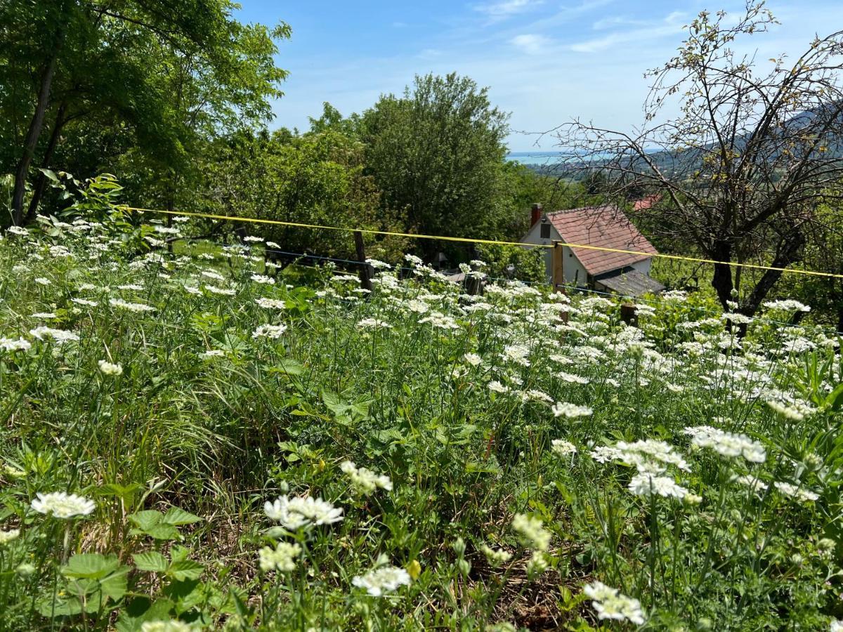 Vine Cottage Kaptalantoti Exterior foto