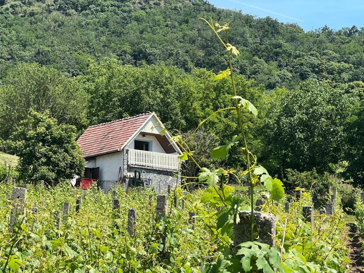 Vine Cottage Kaptalantoti Exterior foto