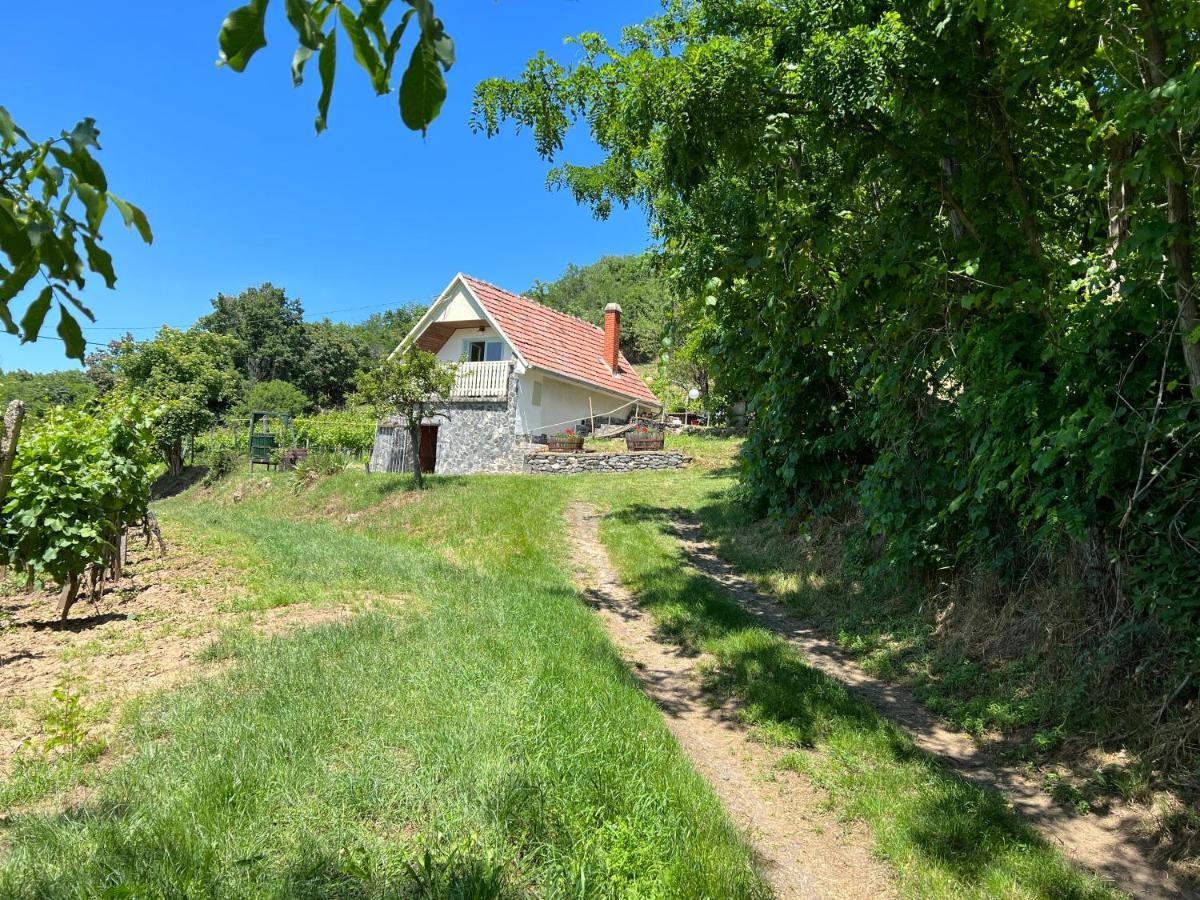 Vine Cottage Kaptalantoti Exterior foto